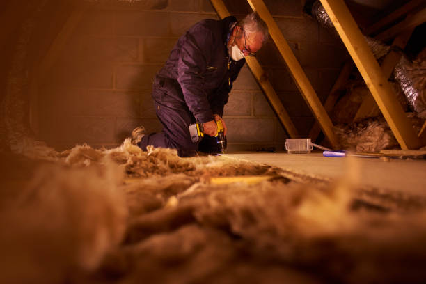 Professional Insulation Contractor in VA